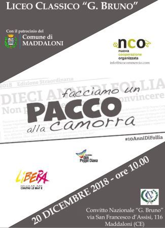 paccocamorra